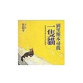 到里斯本尋找一隻貓