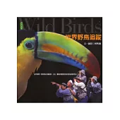 世界野鳥追蹤