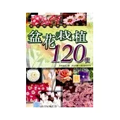盆花栽植120種