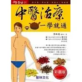 中醫治療一學就通
