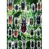 甲蟲王國貼紙(一)