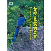 台灣藍鵲的故事DVD(中英文)