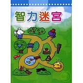 智力迷宮