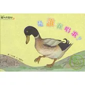 是誰在唱歌?(精)