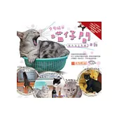 卡布媽的喵仔間日記