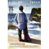 我是大衛