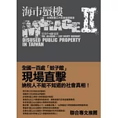 海市蜃樓II：台灣閒置公共設施抽樣踏查