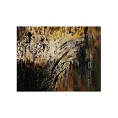 Beyond Painting 楊識宏的創作基因