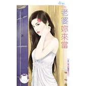 男人的難題之二 老婆妳來當