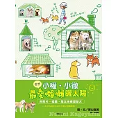 柴犬小權.小徹最愛懶懶曬太陽