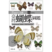 臺灣蝴蝶圖鑑(中)灰蝶