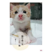 貓中途公寓三之一號