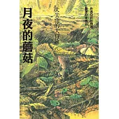 月夜的蘑菇