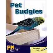 PM Writing 1 Yellow/Blue 8/9 Pet Budgies