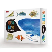 海洋動物圖卡(中英對照)