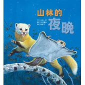 山林的夜晚