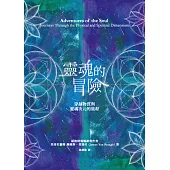 靈魂的冒險：穿越物質與靈魂次元的旅程