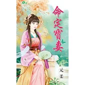 命定寶妻