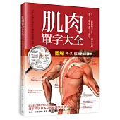 圖解：肌肉單字大全