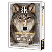 狼的智慧：黃石公園的野狼觀察手記