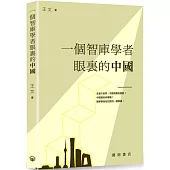 一個智庫學者眼裏的中國