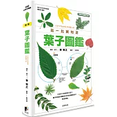 葉子圖鑑