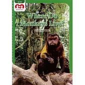 Chatterbox Kids 22-2 Where Do Monkeys Live?