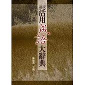 遠流活用成語大辭典