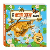 原來蜜蜂的家長這樣