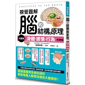 視覺圖解 腦的結構與原理