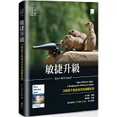 敏捷升級：28個提升敏捷成效的關鍵原則