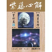 紫藤心解【飛星高階】‧ 實例篇B冊