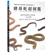 豬鼻蛇超圖鑑：從飼育知識到日常照護一本全掌握