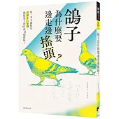 鴿子為什麼要邊走邊搖頭?