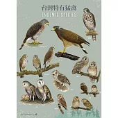 台灣特有猛禽手繪海報