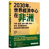 2030年，世界經濟中心在非洲：汽車、能源、金融、醫療、時尚……未來，製造業基地與新興消費市場都在這裡!
