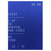 童貞時代 中國實驗電影與錄像：The Adolescent: Traces of Chinese Experimental Film and Video