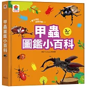 甲蟲圖鑑小百科