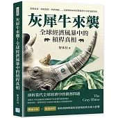 灰犀牛來襲!全球經濟風暴中的槓桿真相：貨幣政策、制度缺陷、經濟風險……在債務風暴與貨幣操控中看穿金融真相