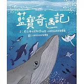 藍寶奇遇記