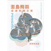 澎島飛羽：澎湖燕鷗之美
