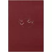 記憶無歸屬 abberant archive 2015-2025