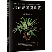 培育絕美鹿角蕨：進階栽培×配置設計，兼顧收藏與裝飾的綠植美學