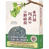 串門貓阿飛的心動瞬間