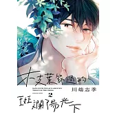 枝葉篩過的斑斕陽光下 2