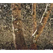 Johannes Brahms: Piano Works/ Emanuel Ax