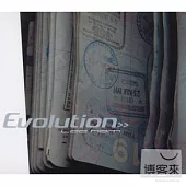 王力宏 / Evolution:95-02 新歌+精選《王力宏的音樂進化論》