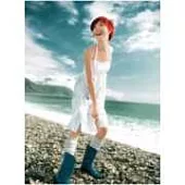 孫燕姿 / 完美的一天