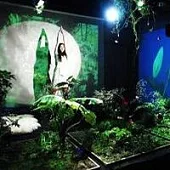 UA / 黃金比綠/Love scens ~雙A面單曲~