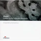 Vivaldi : Concertos for Lute & Mandolin / Il Giardino Armonico